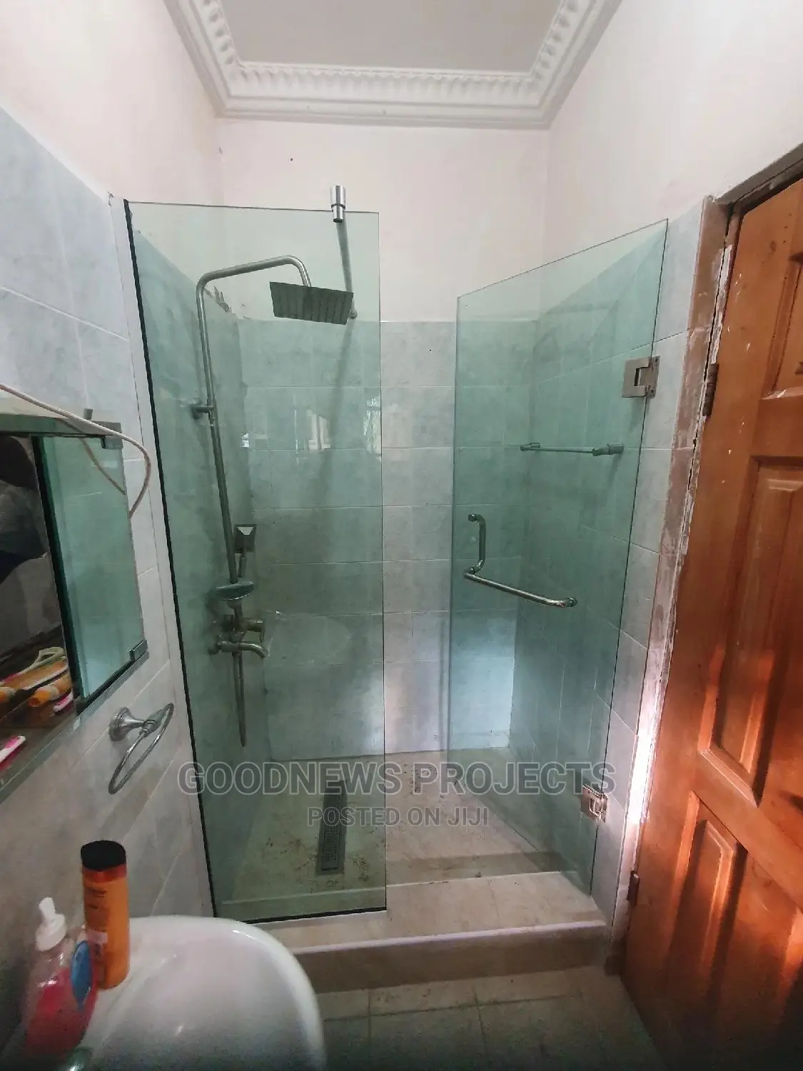 Frameless Glass Hinge Shower Bathroom