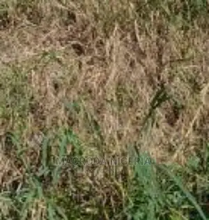 470.147 Sqm Land at Victory Park Estate Osama B4 Pinnock Beach