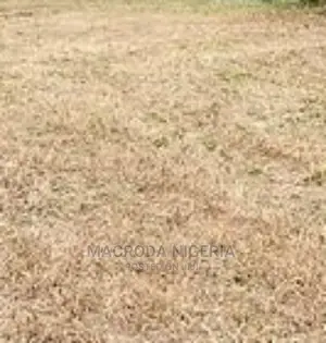 2000sqm Land Along Lekki-Epe Express Way by Sapphire Garden