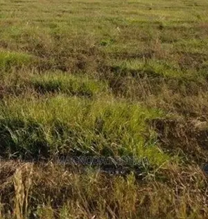 350 SQM Land Inside Sapphire Garden Estate