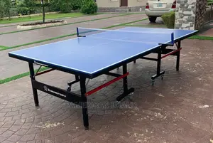 Standard Table Tennis Boardcoming With Accesories