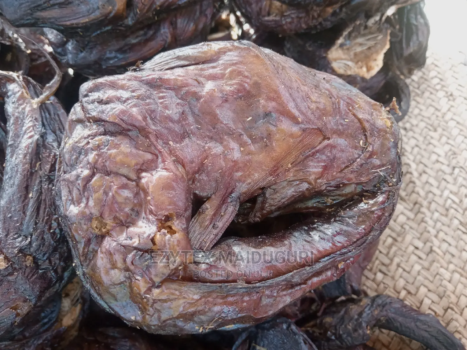 Lake Chad Catfish