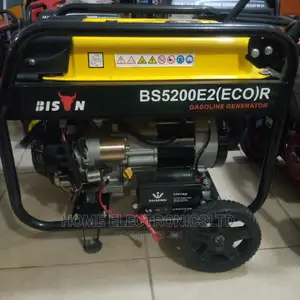 Bison Generator With Remote Control 4.5 KVA