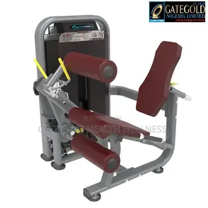 Leg Curl Leg Extension DFT1692