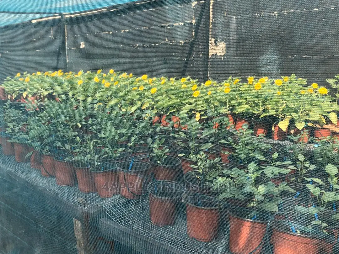 Coco Coir (Coir Pith or Cocopeat) 5kgs Bag