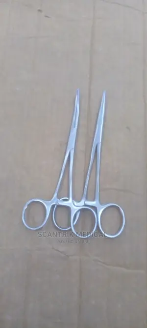Quality Curved Artery Forceps