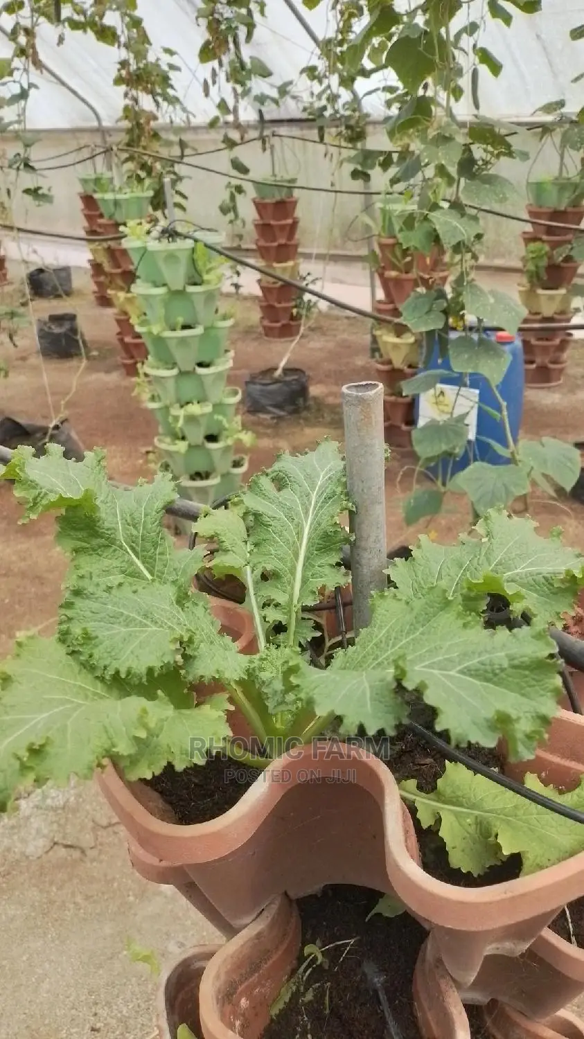 Farm Produce