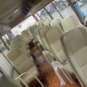 Toyota Coaster 2010 Gold