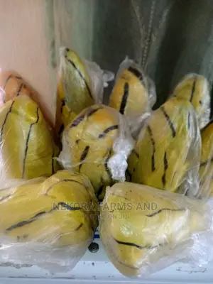 Unrefined Organic Shea Butter (Ori)