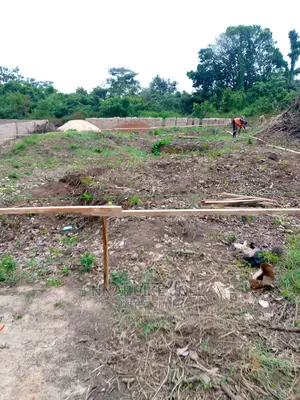 Building Engineer