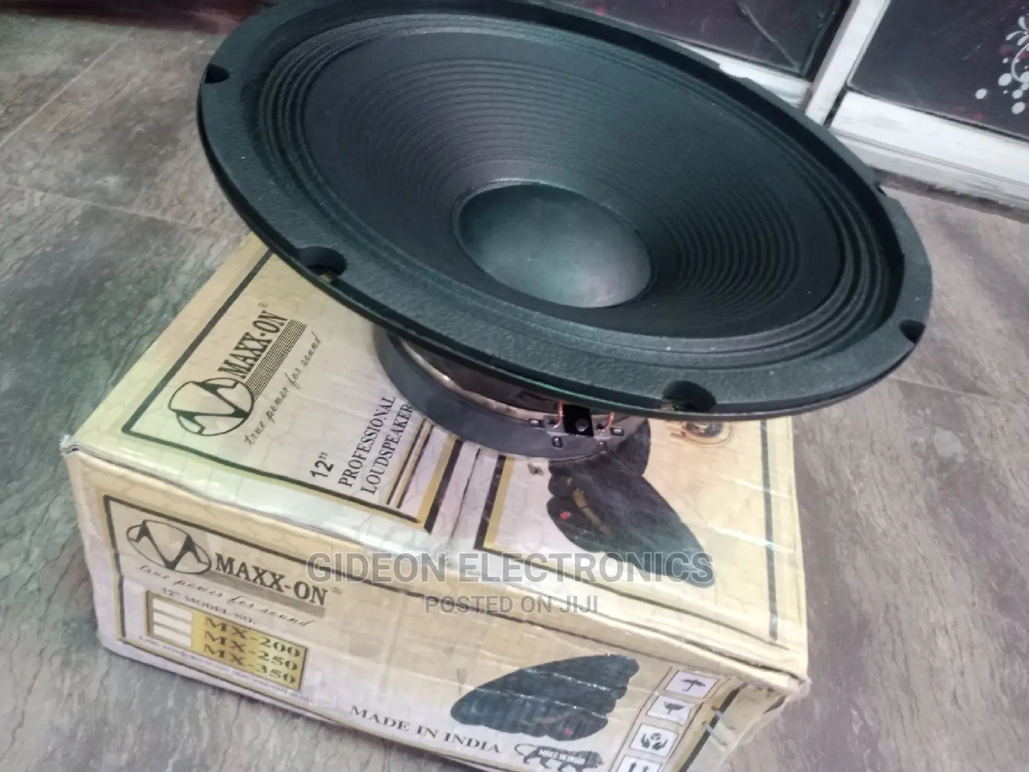 Max 12"Speaker