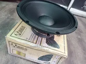 Max 12"Speaker