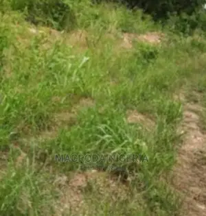 1000sqm at Zone C, (Residential), Banana Island