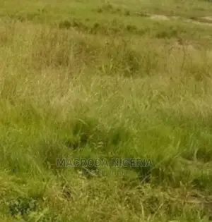 1000sqm Waterfront at Zone L,Plot 23(Mixed Use), Banana Island