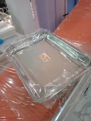 Tray Stainless Steel Clinical