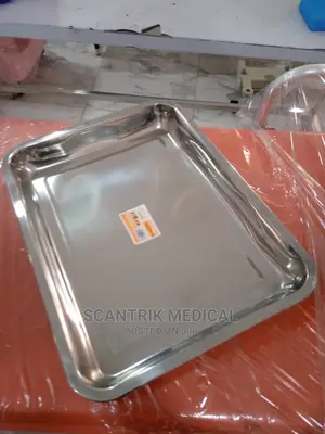 Instrument Medical Tray Stainless