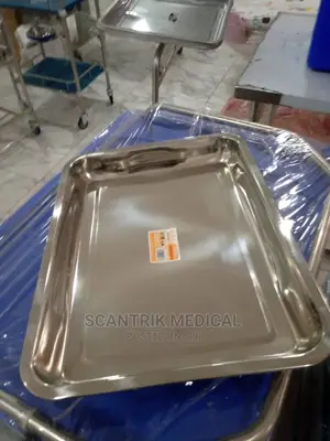 Medical Stainless Steel Instrument Tray 40*30*4.8cm