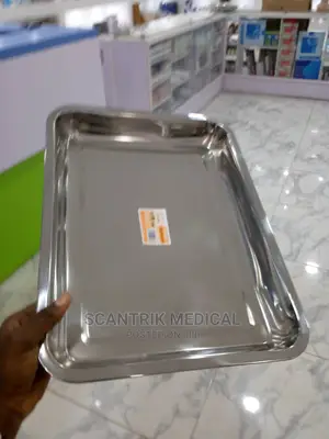 Stainless Steel Instrument Tray 40*30*4.8cm