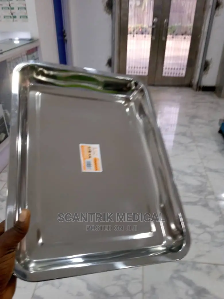 Stainless Steel Trays