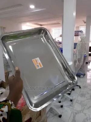 Surgical Tray,For Lab Instrument