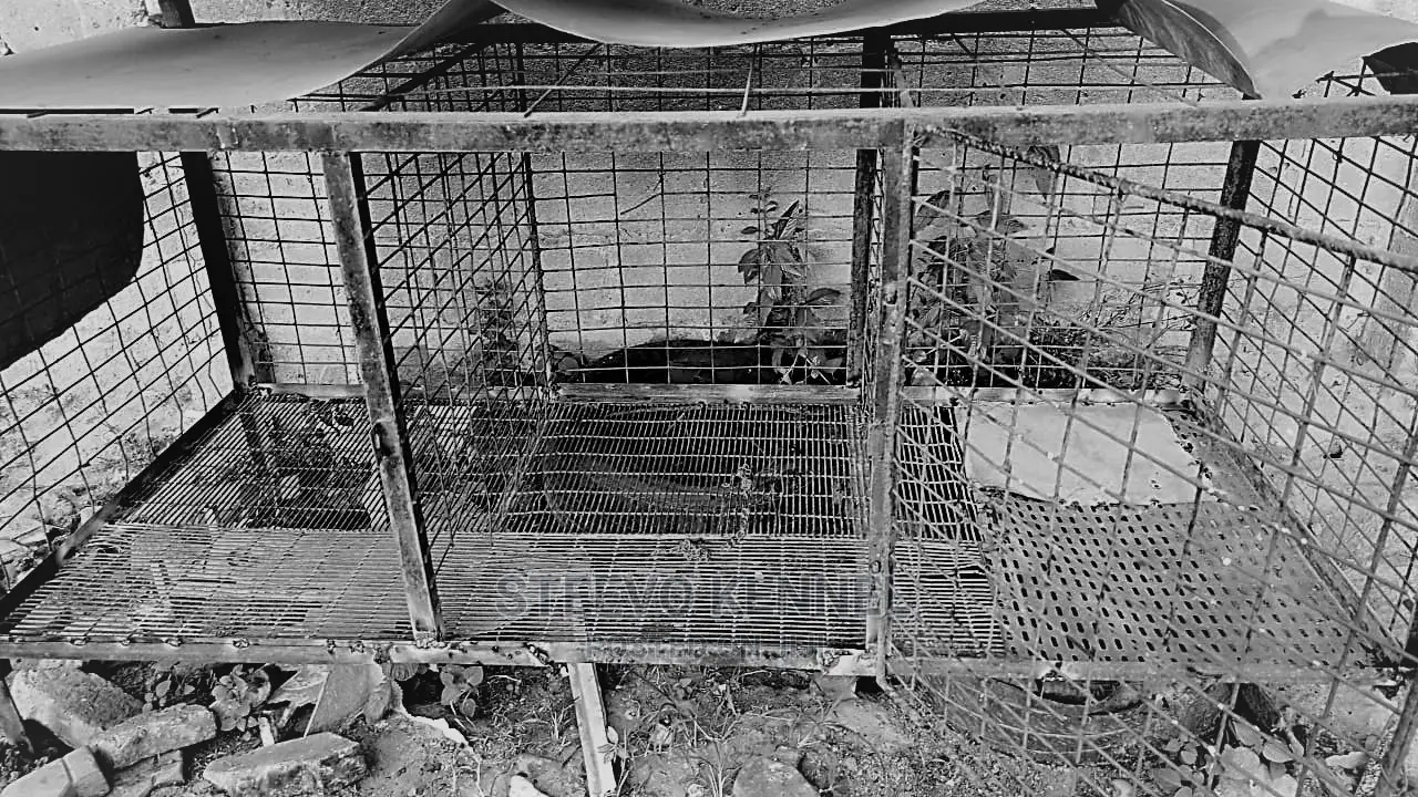 Metal Dog Cage 3big Chambers