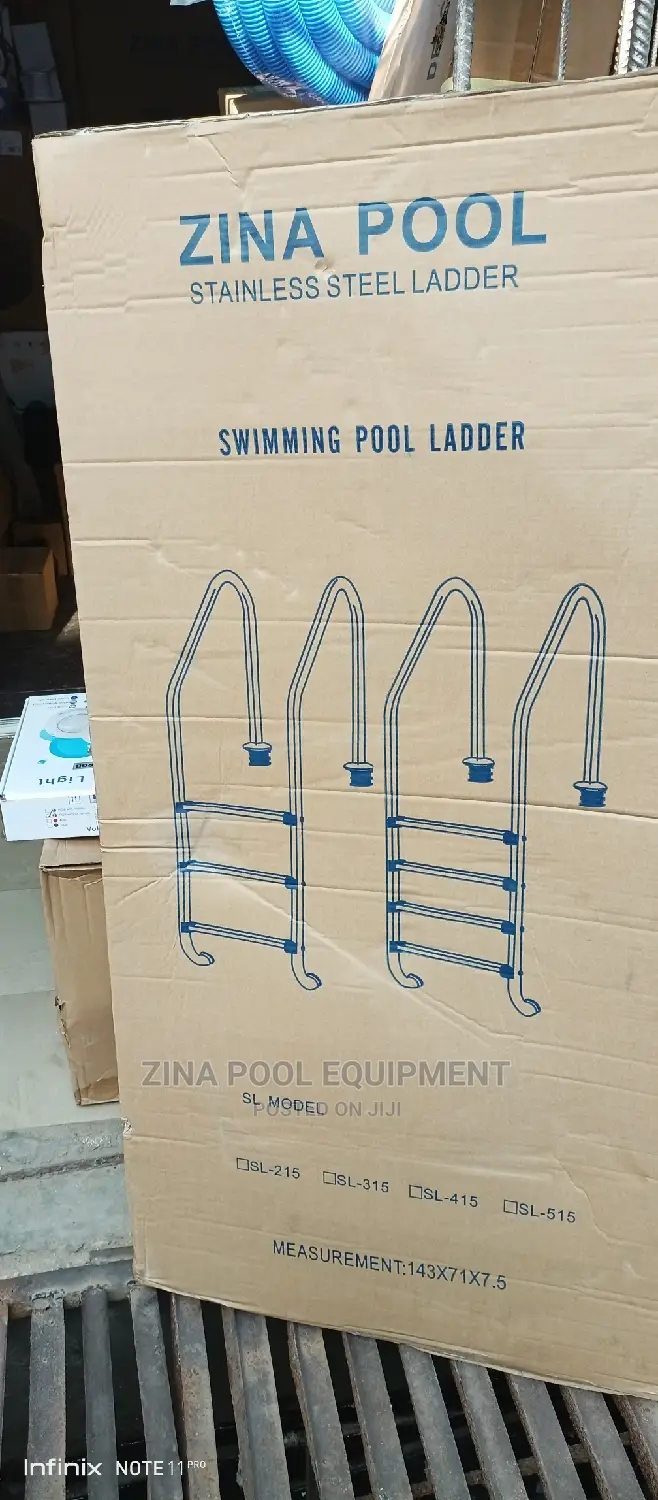 Swimming Pool Ladder 2 Step