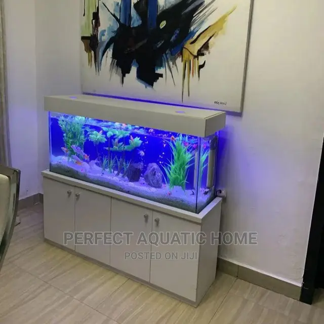 Aquarium 4ft*2ft*1ft