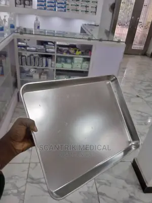 Hospital Stainless Tray