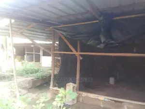 Poultry Farm