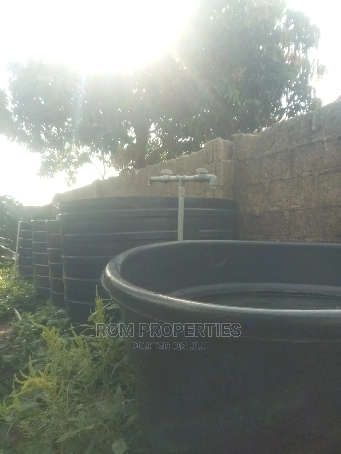 Poultry Farm