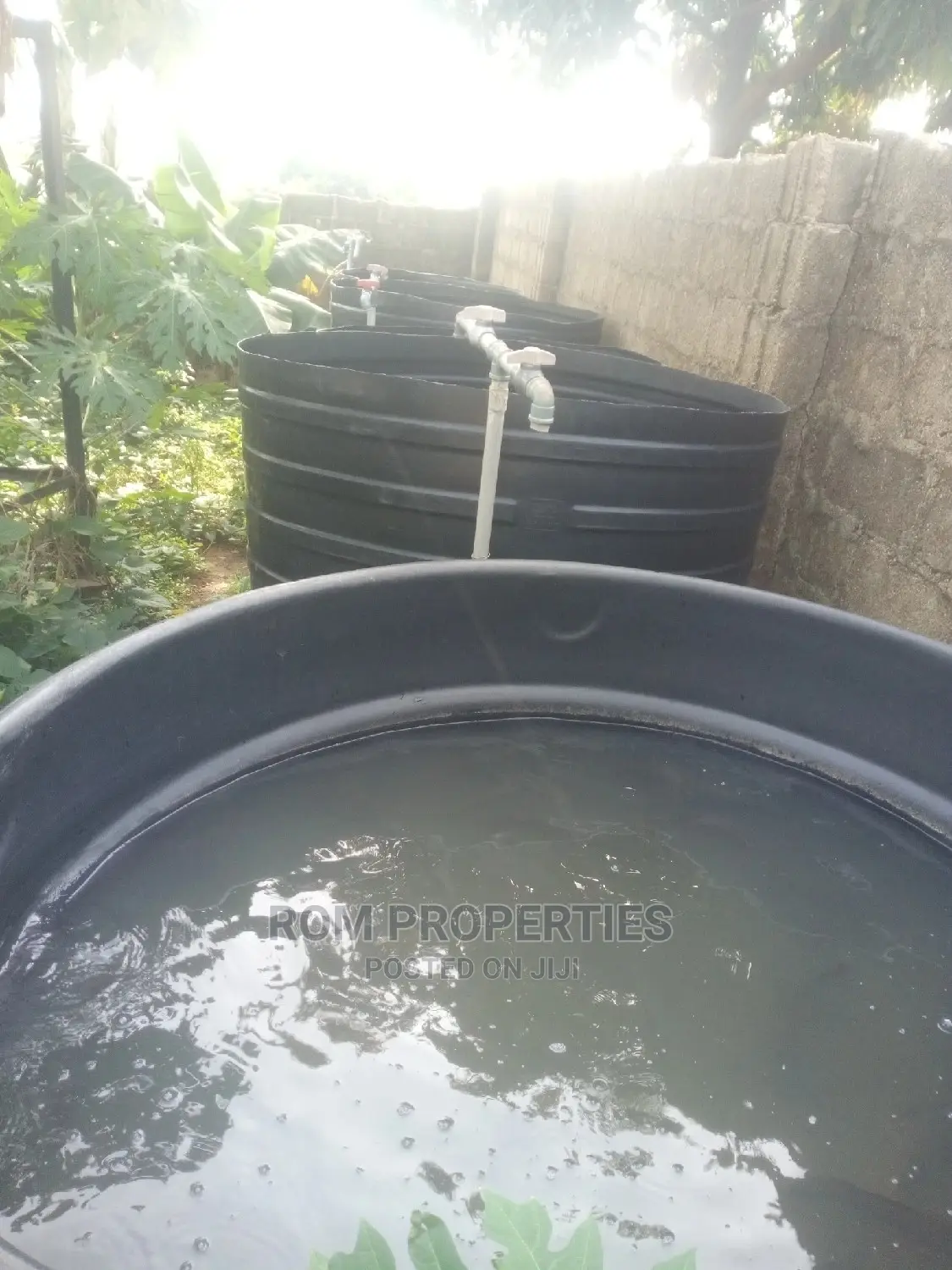 Poultry Farm