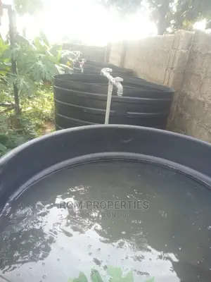 Poultry Farm