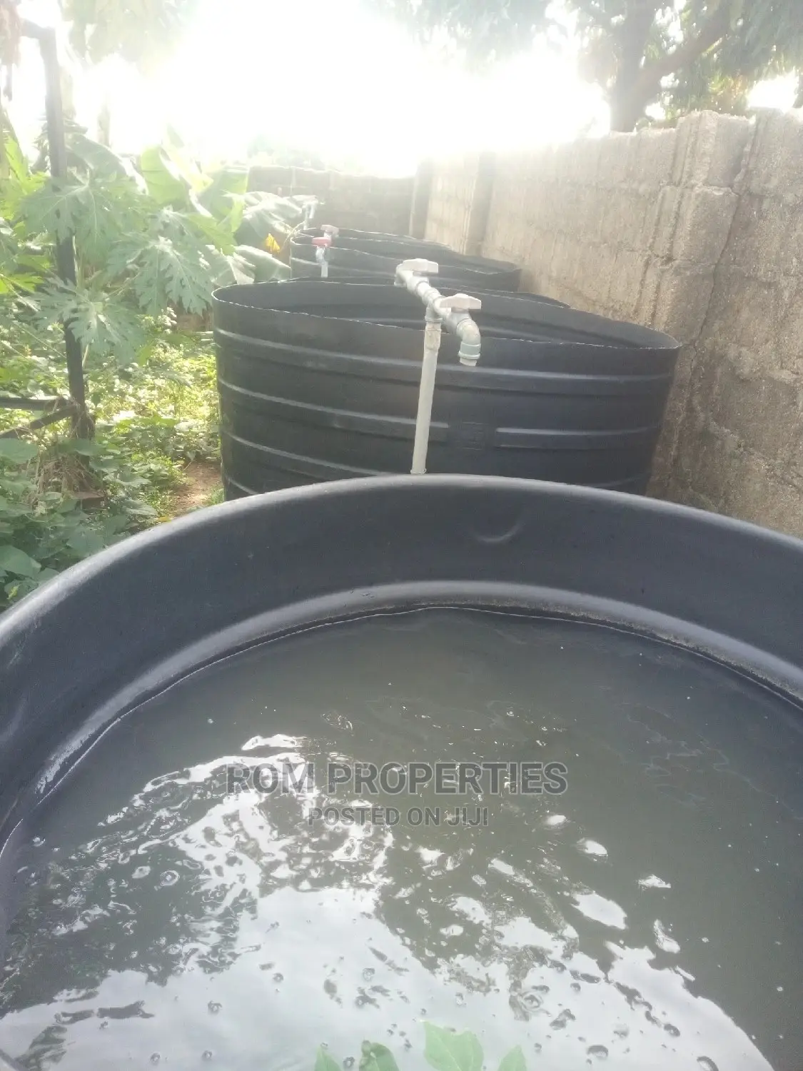 Poultry Farm