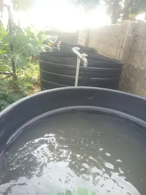 Poultry Farm