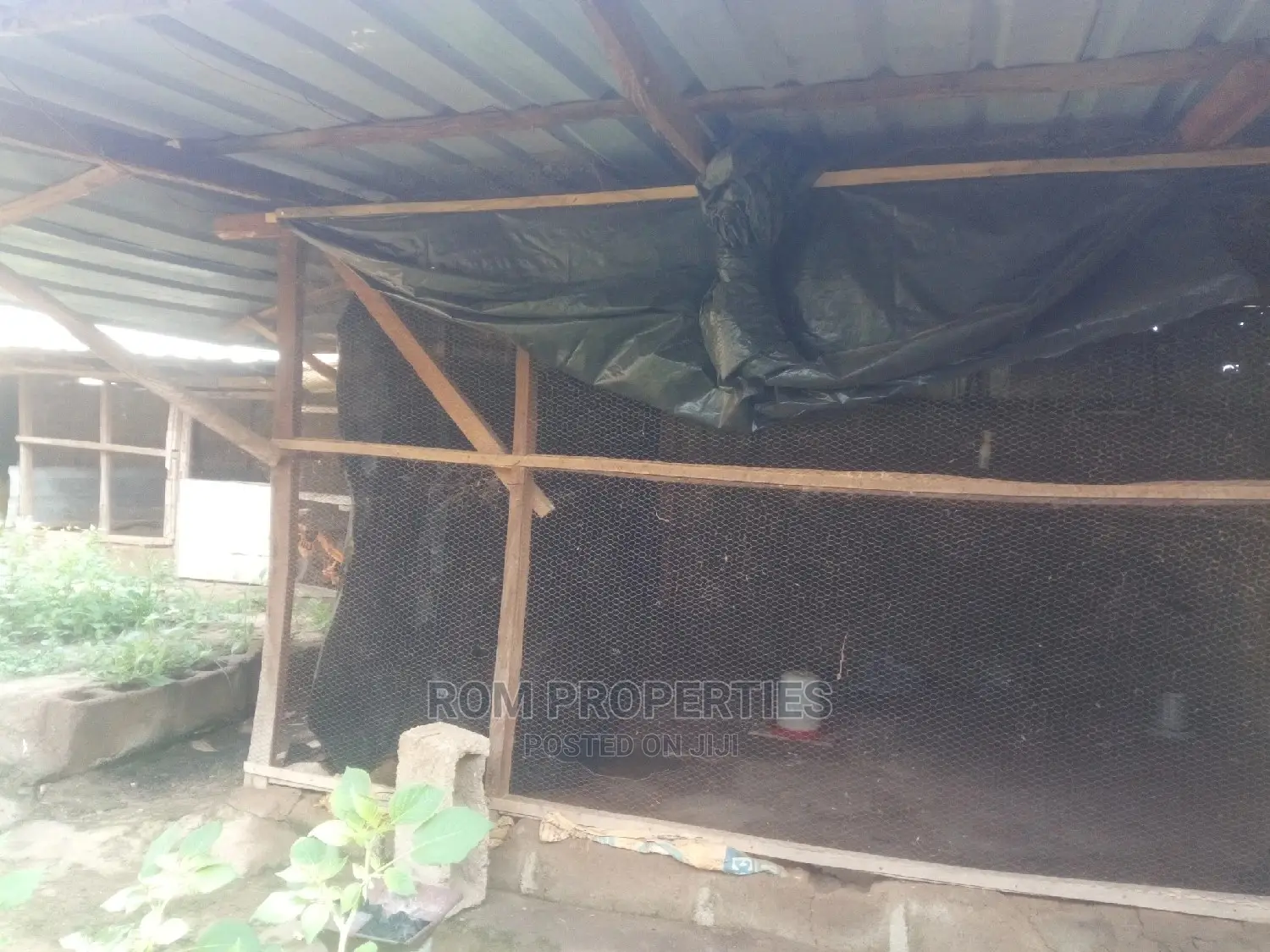 Poultry Farm