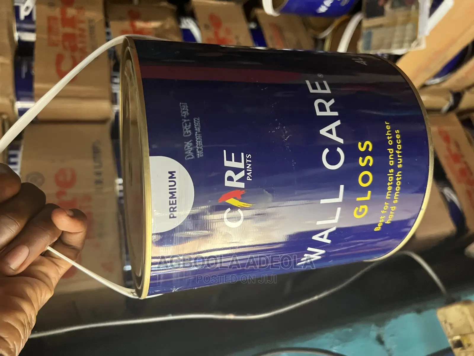 Wall Care Paint