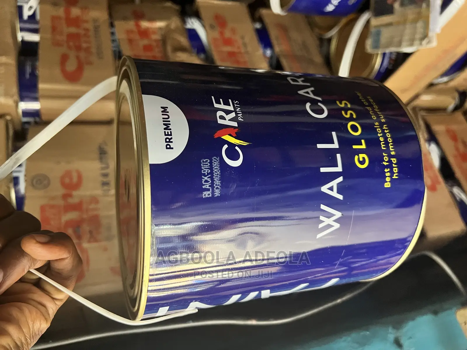 Wall Care Paint