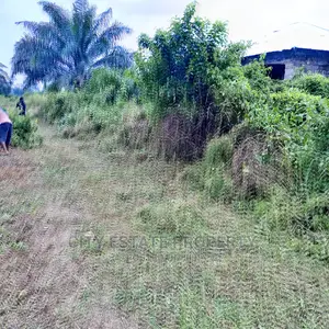 Buyand Build Land for Sale at Omagwa Ph