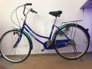 Ladies Bike