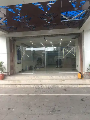 Quality And Affordable Auto Sliding Door