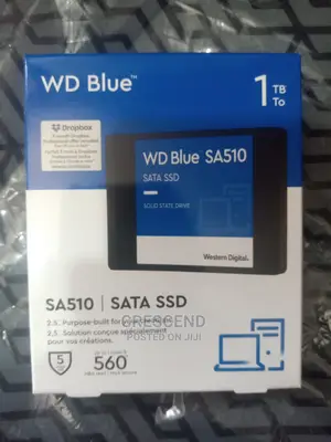 1tb Wd Blue SSD
