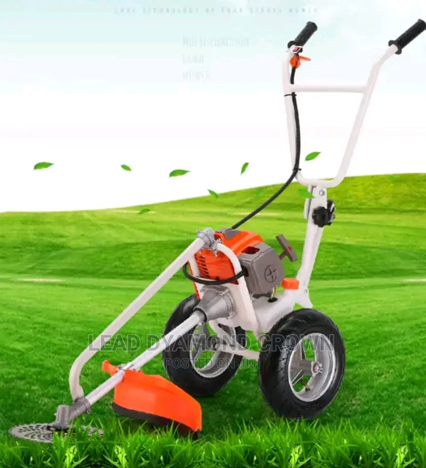 Mini Push Weeding Machine
