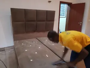 Furniture and Upholstery Cleaners