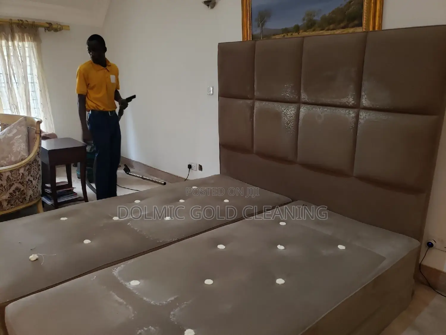 Furniture and Upholstery Cleaners