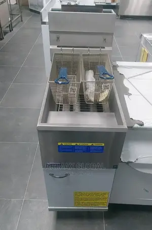 Commercial Gas Fryer