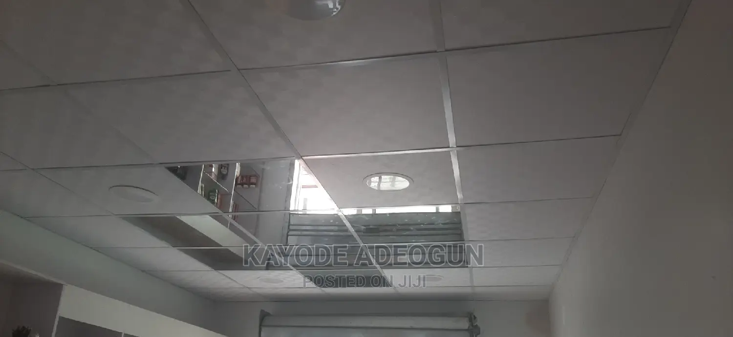 Suspended Ceiling