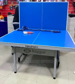 Hagai Aluminum Water Proof Outdoor Table Tennis Board