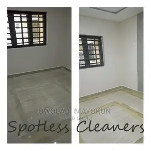 Professional Cleaning Service