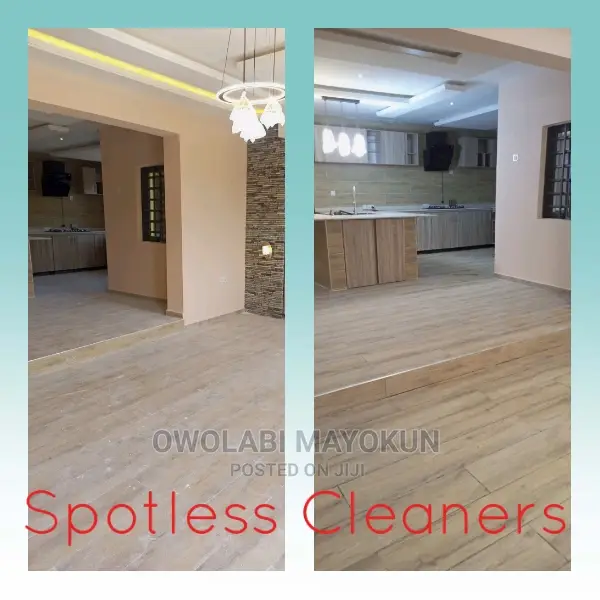 Professional Cleaning Service