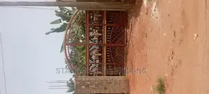 Solid Rot Iron Gate